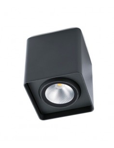 Plafón Tami - Faro - Aplique negro de exterior 12W 2