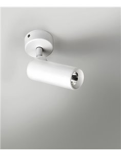 Foco de pared y techo LED en 2 acabados orientable y regulable 2700K – Haul - Milán