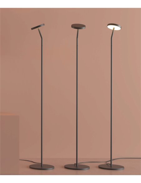 Lámpara de pie Corvus – ACB – Pie de salón negro, 125 cm, LED 3000K