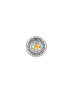 Motor Lark Citizen - Arkoslight 2