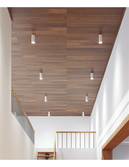 Lámpara proyector de techo Nox – Beneito & Faure – Foco cilíndrico, Lámpara LED orientable 355º-90º, Temperatura regulable 2.700