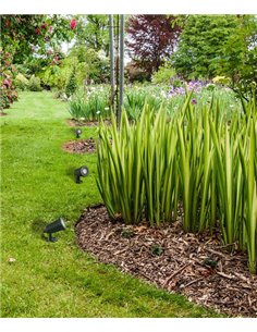 Proyector y estaca de exterior para suelo Neo – FORLIGHT – Lámpara de policarbonato+ABS, LED 3000K, Apto para ambientes salinos 2