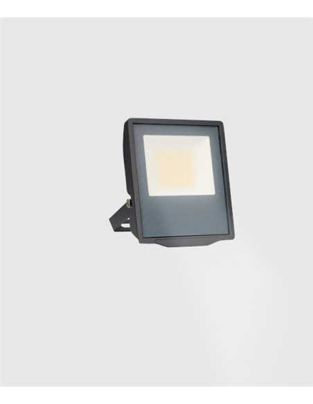 Lámpara proyector de exterior Pro – FORLIGHT – Proyector de aluminio antracita, LED 4000K IP66