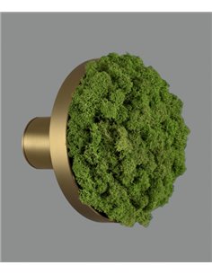 Aplique de pared Chamaleon – ACB – Lámpara decorativa hecha de musgo 100% natural, LED 3000K