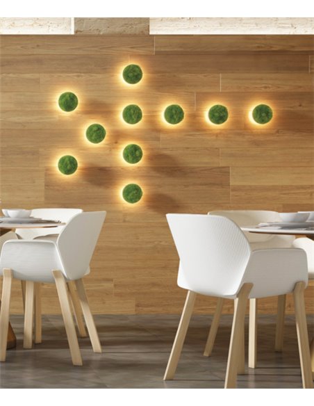 Aplique de pared Chamaleon – ACB – Lámpara decorativa hecha de musgo 100% natural, LED 3000K