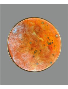 Aplique de pared Chamaleon – ACB – Lámpara de cerámica completamente artesanal, LED 3000K 2