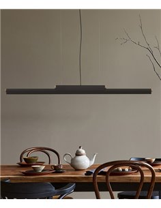 Lámpara colgante Rudi - Robin - Lámpara de techo LED lineal, diseño horizontal
