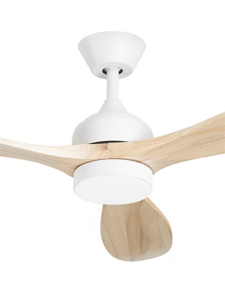 Ventilador de techo con luz Calar - FORLIGHT - Palas de madera, LED regulable