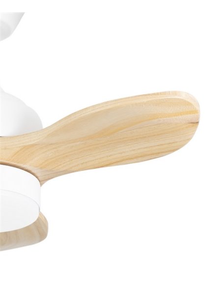 Mini ventilador de techo con luz Calar - FORLIGHT - Motor DC, ventilador LED regulable