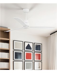 Ventilador de techo Nassau - Faro - Ventilador DC sin luz, blanco