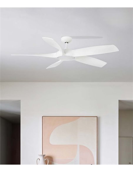 Ventilador de techo con luz Cocos - Faro