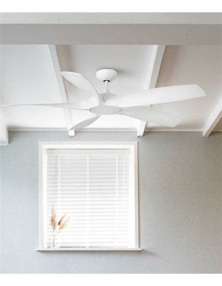 Ventilador de techo con luz Cocos - Faro