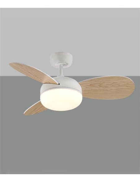 Ventilador de techo con luz Bise - ACB - Ventilador con palas reversibles, LED regulable