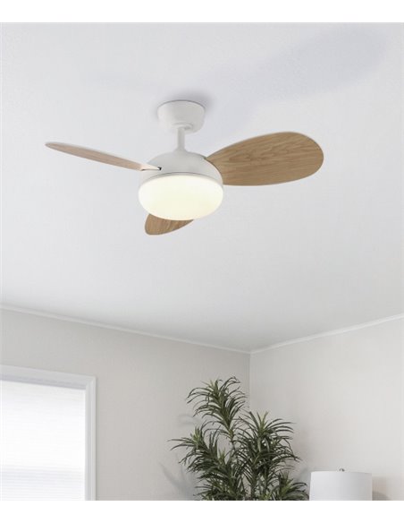 Ventilador de techo con luz Bise - ACB - Ventilador con palas reversibles, LED regulable