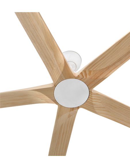 Ventilador de techo Bigwood 20 XL - Faro - Palas de madera FSC de pino, motor DC