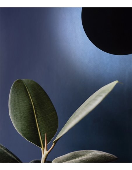 Aplique de exterior Duomo - Novolux Lighting - Lámpara minimalista circular antracita