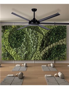 Ventilador de techo sin luz Niágara - ALG - Ventilador industrial negro para grandes superficies con 6 aspas