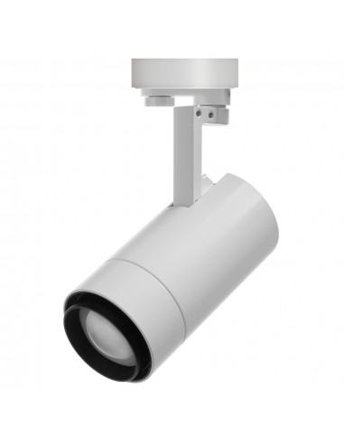Cylindric track LED projector with...