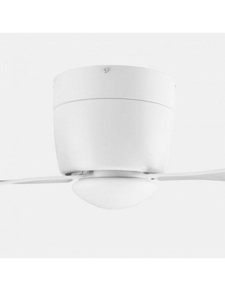 Ventilador Bora