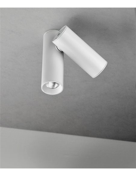 Foco de techo LED Ø 4 cm y 8,5 cm de alto de acero en 2 acabados regulable 2700K – Doble Haul - Milán