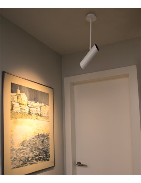 Foco de techo Link – Faro – Orientable, blanco/negro