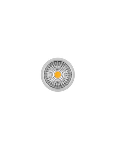 Motor Lark Citizen - Arkoslight