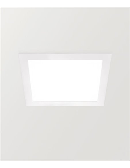Madison - Arkoslight