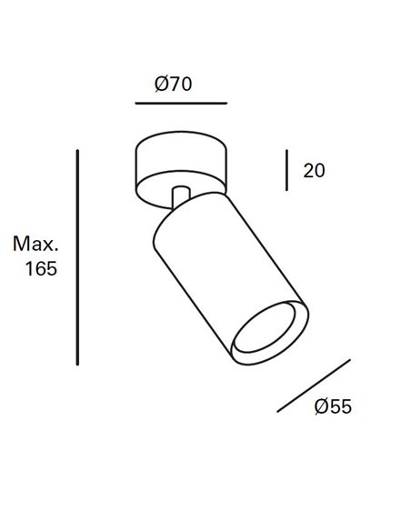 Foco de techo Era - FORLIGHT - Lámpara proyector en 2 colores, Cabezal orientable