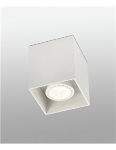 Foco de techo Tecto - Tecto - Lámpara de aluminio en negro o blanco