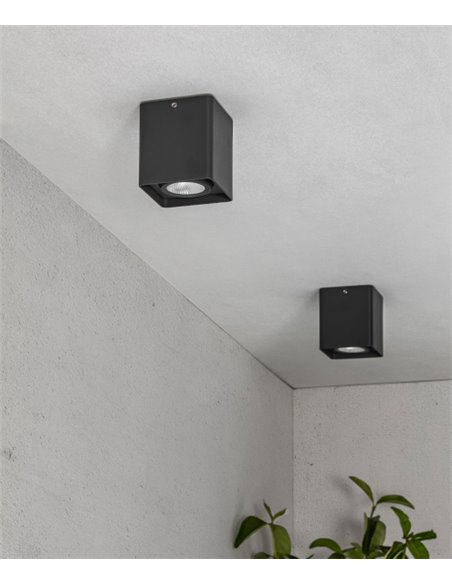 Plafón Tami - Faro - Aplique negro de exterior 12W
