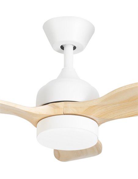 Mini ventilador de techo con luz Calar - FORLIGHT - Motor DC, ventilador LED regulable