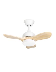 Mini ventilador de techo con luz Calar - FORLIGHT - Motor DC, ventilador LED regulable 2