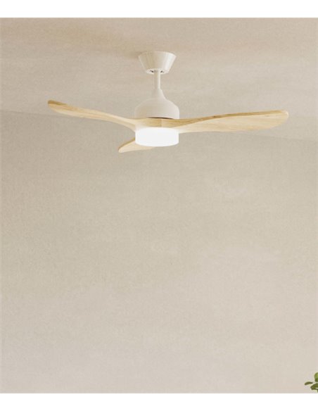 Mini ventilador de techo con luz Calar - FORLIGHT - Motor DC, ventilador LED regulable