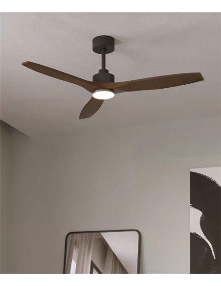 Ventilador de techo con luz Stem Evo - FORLIGHT - Palas de madera oscura, ventilador DC 