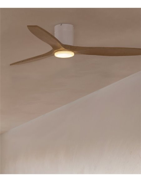 Ventilador de techo Stem Evo - FORLIGHT - Ventilador LED de madera clara