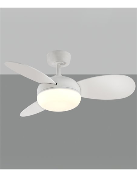 Ventilador de techo con luz Bise - ACB - Ventilador con palas reversibles, LED regulable