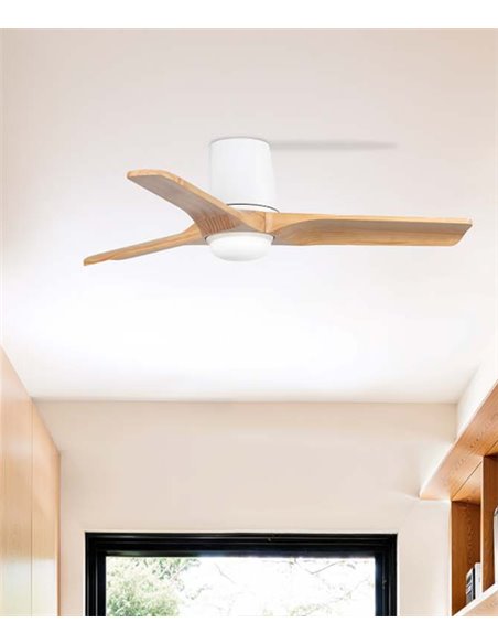 Ventilador de techo con luz Heywood Tub LED S - Faro - Ventilador DC con palas de pino