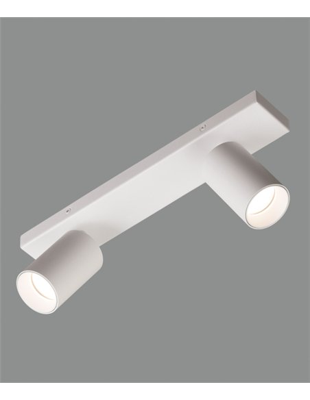 Plafón de techo Gina - ACB - Foco 2 o 3 luces orientables