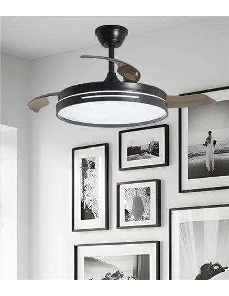 Ventilador con luz Mini Togo - AJP - Negro ultrasilencioso con 3 aspas retráctiles y mando a distancia