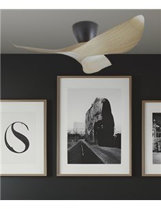 Ventilador de techo sin luz Venice - AJP - Diseño de palas curvadas en madera clara con motor ultrasilencioso 2