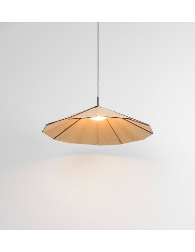 Ash and lacquered steel pendant lamp...