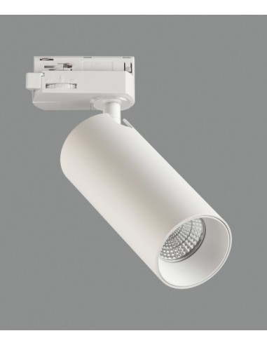 Foco de carril Budelli 