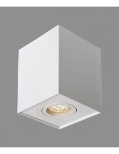 Foco de techo Carre  2