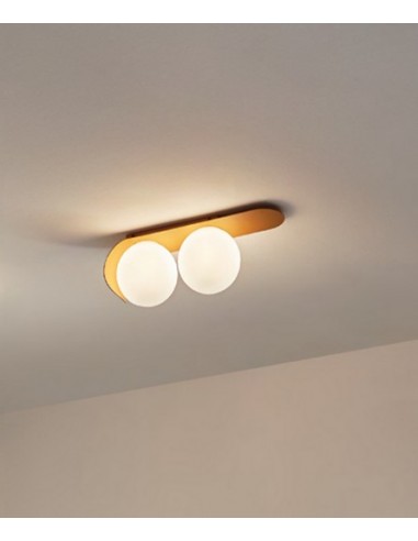 Plafón/ Aplique de pared Zesta con 2 luces – Massmi