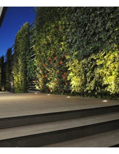 Downlight Redondo Parc – Nexia 2