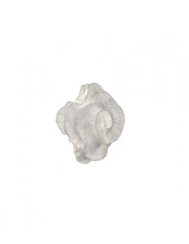 Aplique de pared G9/E14/LED diferentes tamaños y colores – Nevo – Arturo Álvarez