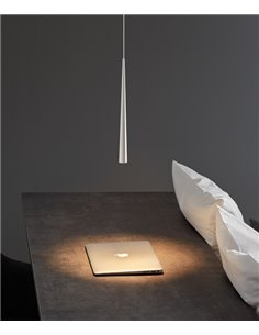 Holly pendant light -...