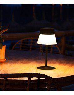 https://lightingspain.com/eu/57871-home_default/deco-forlight-outdoor-table-lamp.jpg