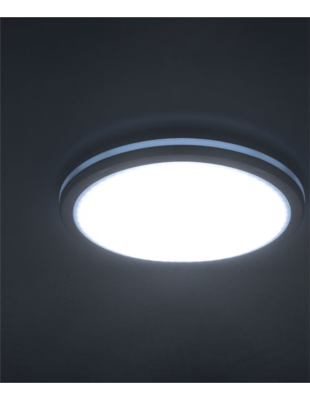Scal Outdoor Ceiling Light Forlight