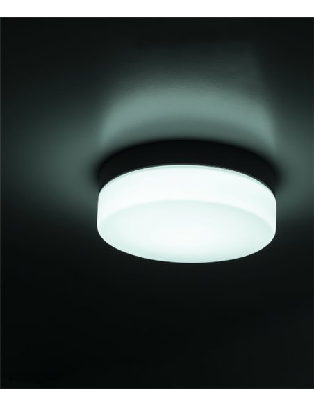 Giro ceiling light - FORLIGHT - Glass ceiling light, dimmable LED 3000K-4000K, Diameter: 23 cm